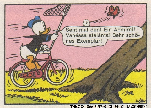 Datei:Schmetterling Admiral TGDD 36 (1974) S14.jpg