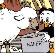 Datei:Hafer.png