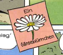 Gänseblümchen.jpg.png