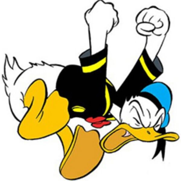 Datei:Donald Duck .jpg
