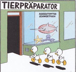 AUSGESTOPFTER SCHWERTFISCH WDC 33 ENTENHAUSEN-EDITION 1 S31.jpg