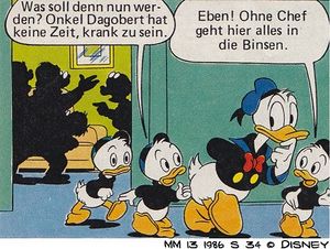 in die Binsen gehen MM 13 1986 S34.jpg