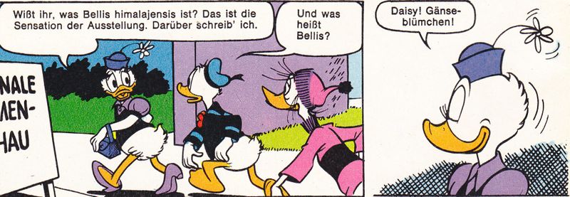 Datei:Daisy = Ganseblumchen MM 15 1974 S4.jpg