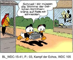 wiedehopfeisvogel.jpg