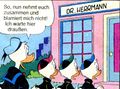 Vorschaubild der Version vom 15:34, 23. Mai 2022