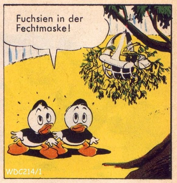 Datei:Fuchsie.jpg