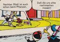 Vorschaubild der Version vom 11:37, 30. Mai 2022