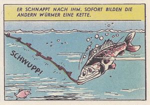 Schwupp WDC 153 MM 3 1954 S07.jpg